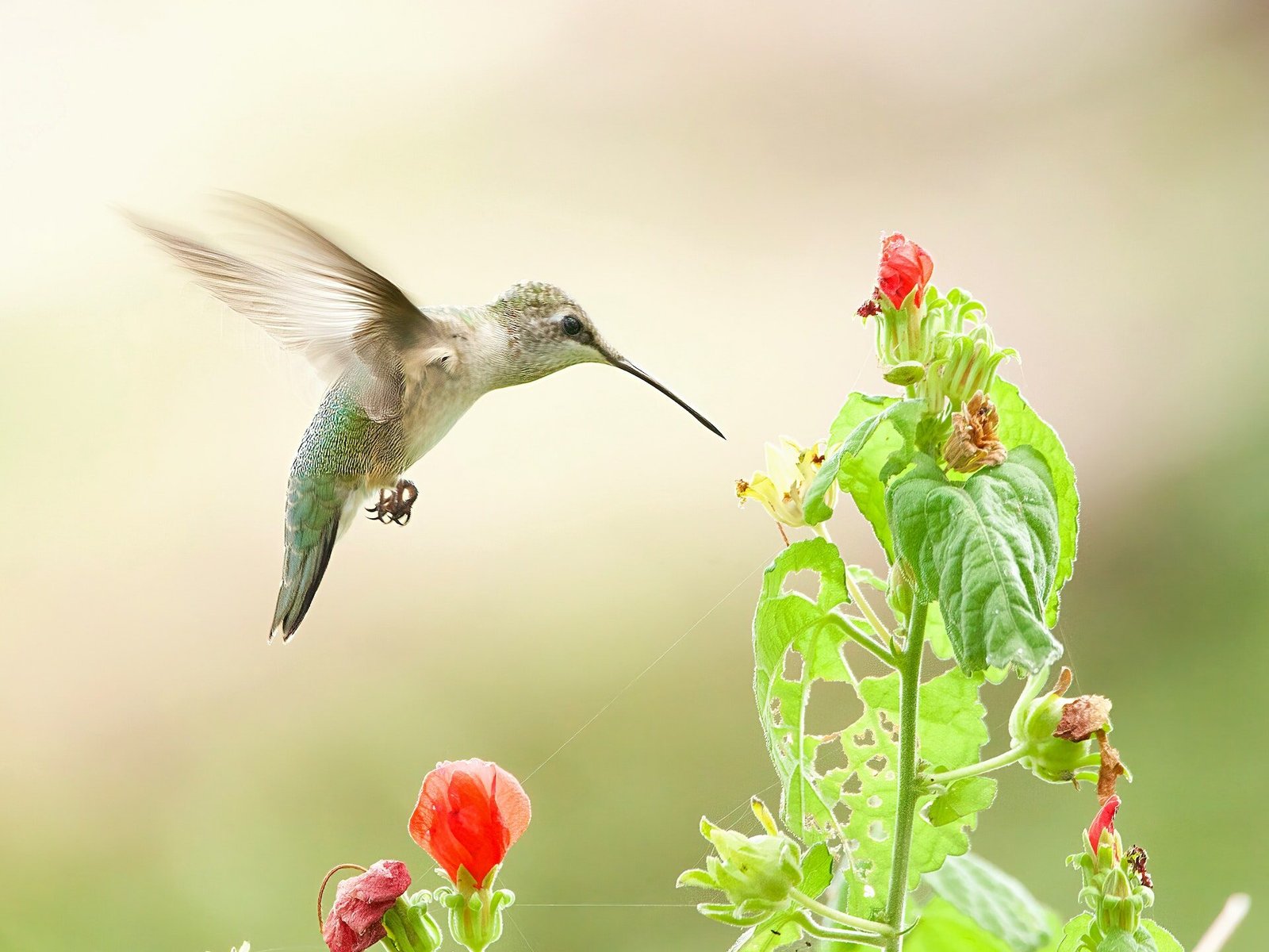 Landscaping Guide Basic Landscaping Principles