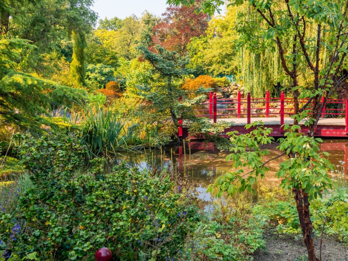 Landscaping Guide Basic Landscaping Principles