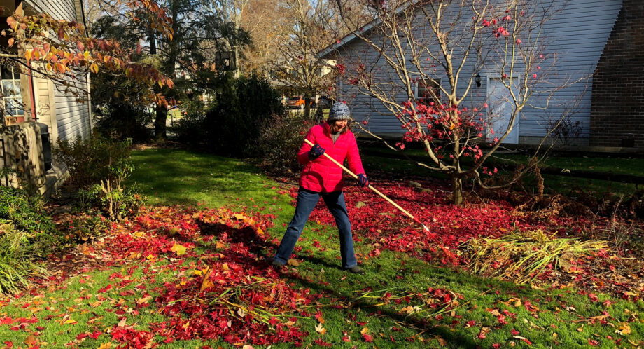 Dealing With Winter Stress on Your Lawn