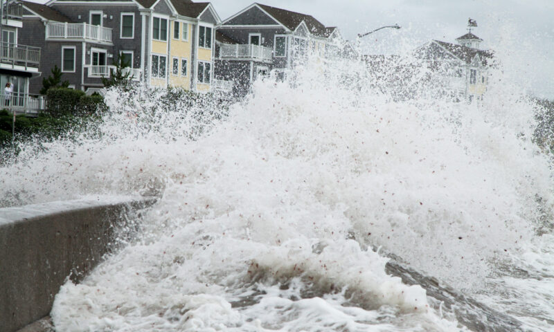 image - Safety Tips to Survive a Flood Disaster Caused by a Hurricane