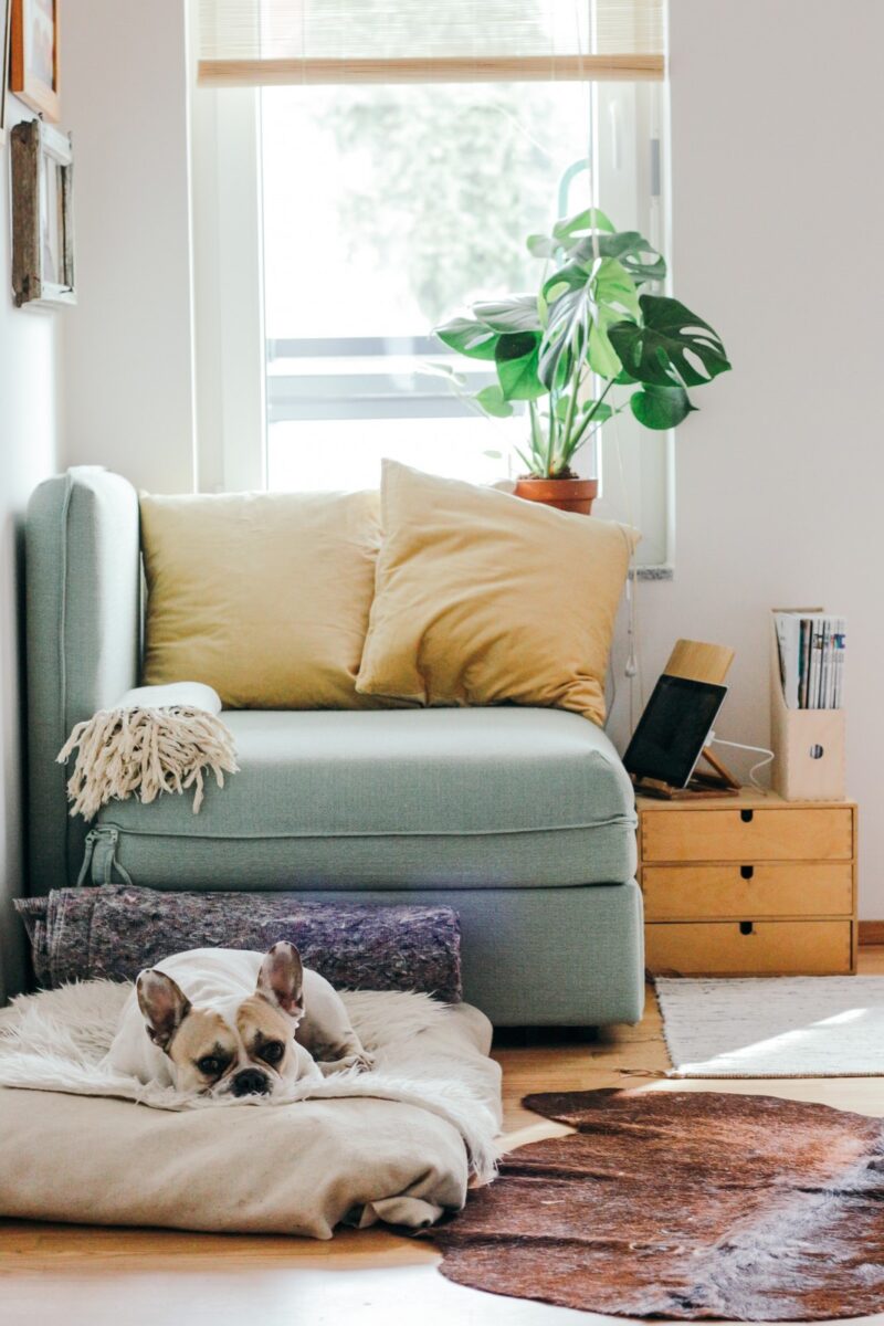 Unlock the Power of Your Home with a Home Equity Line of Credit (HELOC)