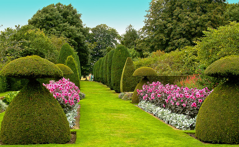 featured image - Tiers Of Joy Balancing Plant Heights In Garden Design