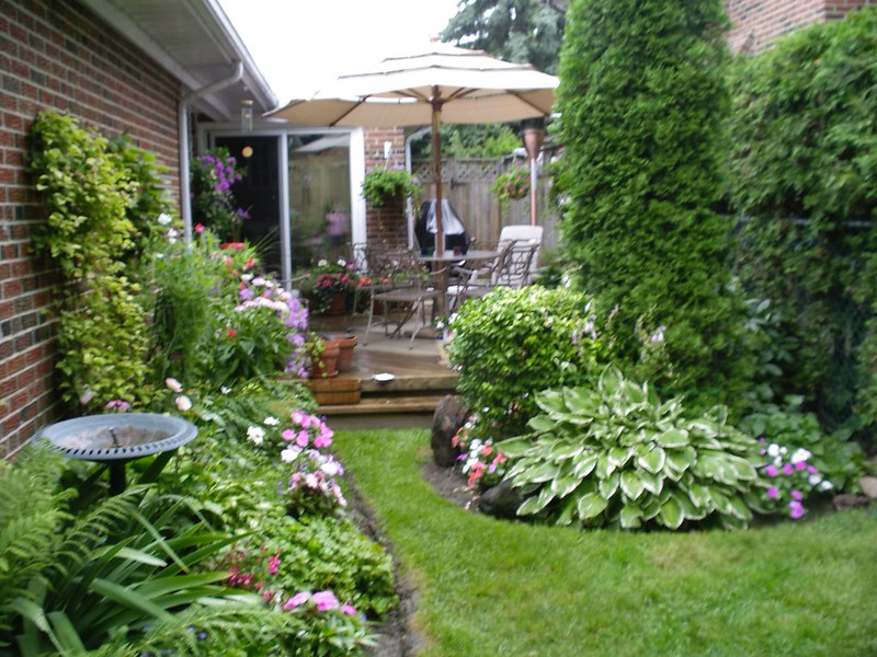featured image - Low-Maintenance Plants for Small Backyards Greenery Without the Hassle