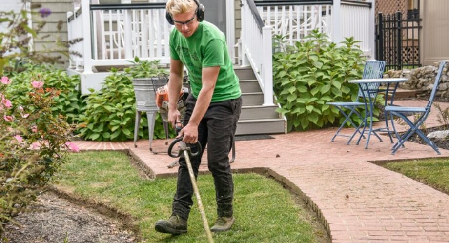 How to Determine if Your Lawn Needs Aerating